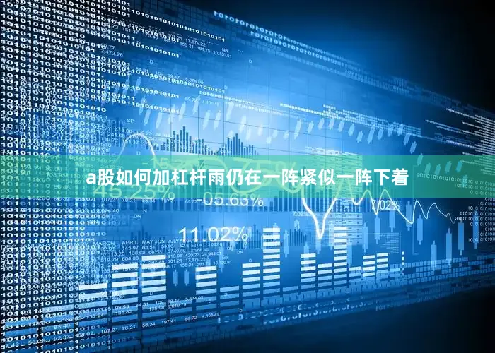a股如何加杠杆雨仍在一阵紧似一阵下着