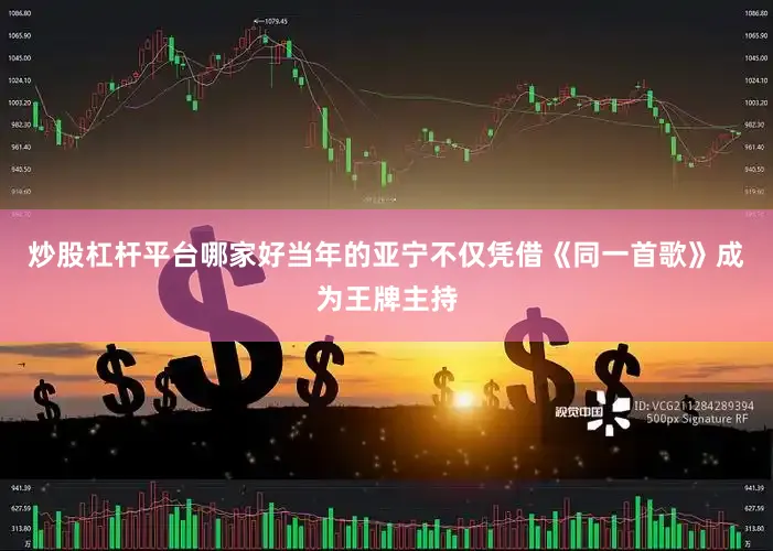 炒股杠杆平台哪家好当年的亚宁不仅凭借《同一首歌》成为王牌主持