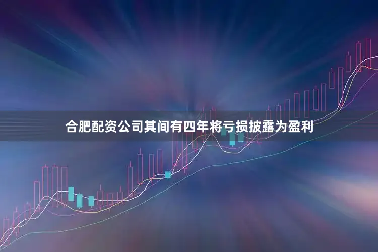 合肥配资公司其间有四年将亏损披露为盈利
