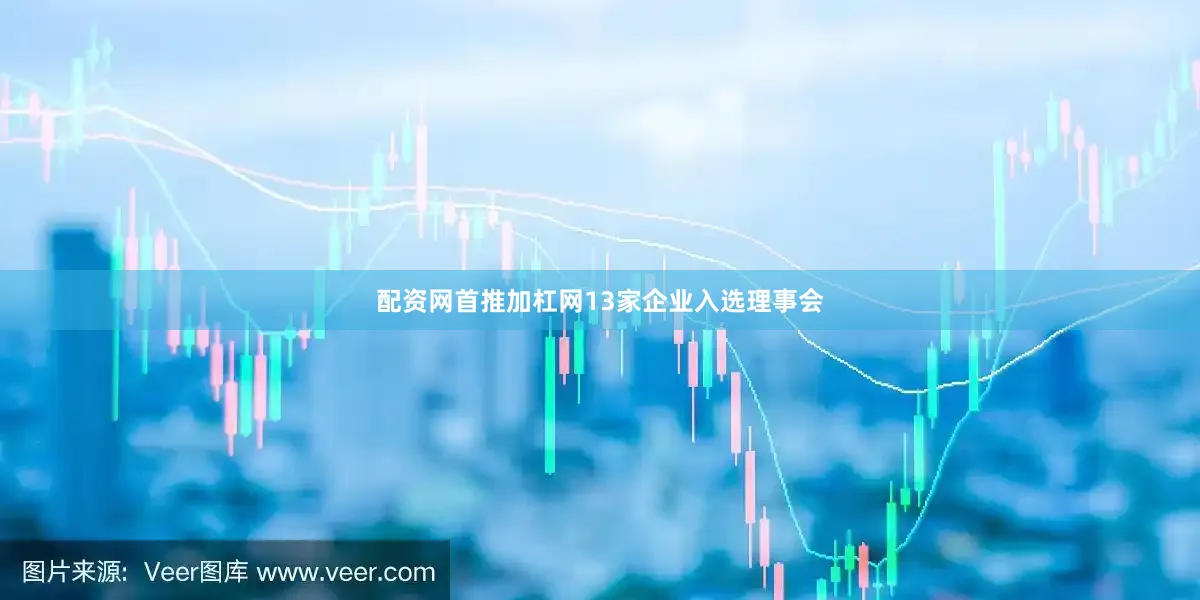 配资网首推加杠网13家企业入选理事会