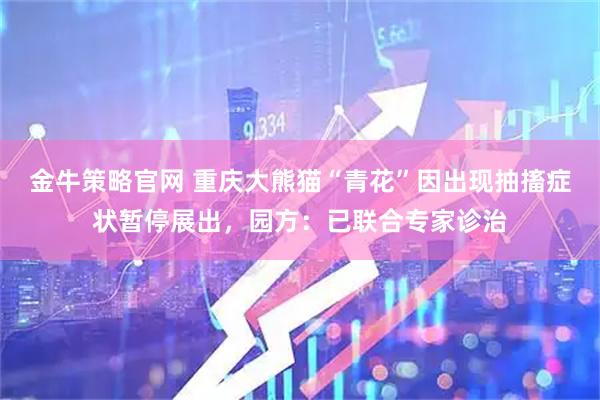 金牛策略官网 重庆大熊猫“青花”因出现抽搐症状暂停展出，园方：已联合专家诊治