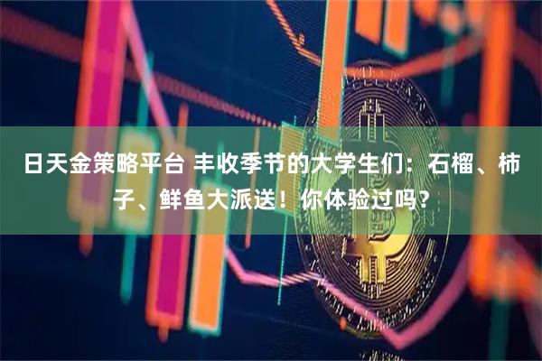 日天金策略平台 丰收季节的大学生们：石榴、柿子、鲜鱼大派送！你体验过吗？
