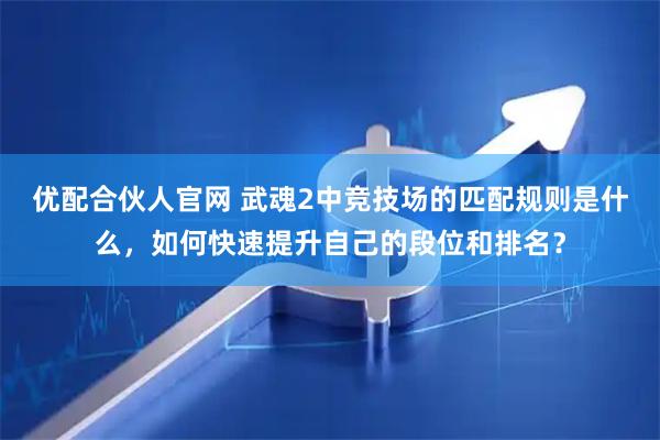 优配合伙人官网 武魂2中竞技场的匹配规则是什么，如何快速提升自己的段位和排名？