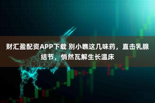 财汇盈配资APP下载 别小瞧这几味药，直击乳腺结节，悄然瓦解生长温床